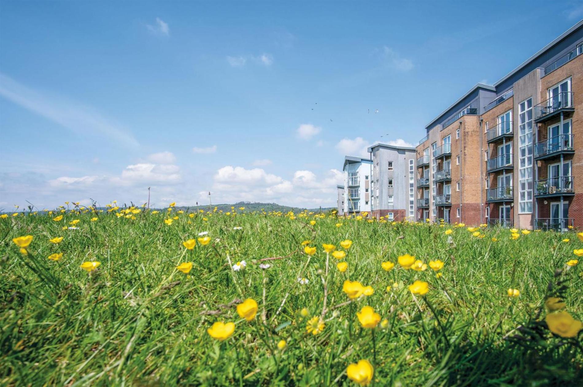 Beach View - 2 Bedroom Apartment - Llanelli Exterior photo